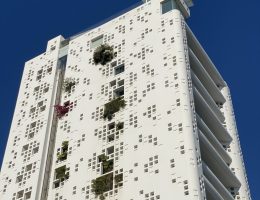 IMG_0376 IMG_0376