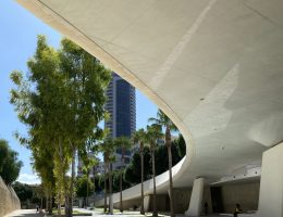 IMG_6440 IMG_6440