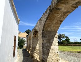 IMG_6719 IMG_6719