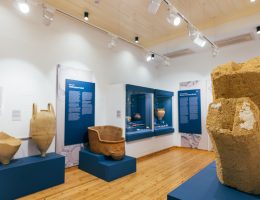 museum_ledron