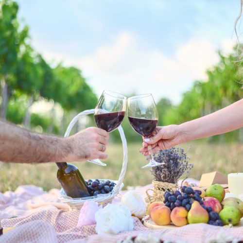 Woman and man making toasts with wine glasses. Picnic outdoors in the vine yard
